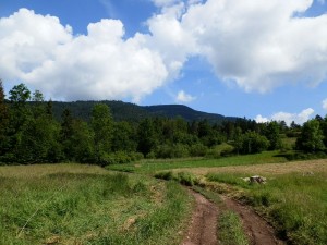 beskid wyspowy 62 (1)